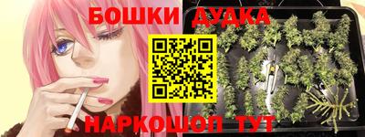 сатива Канаш