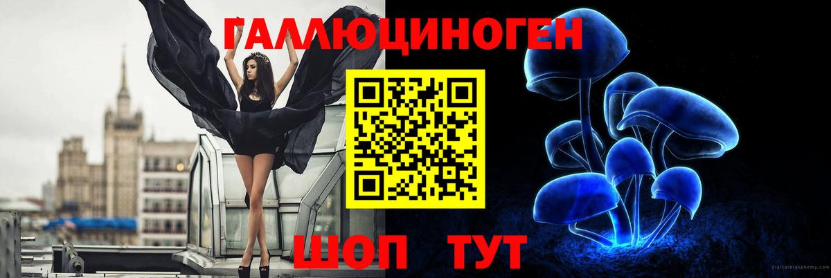 Псилоцибиновые грибы Cubensis Кстово